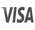 visa logo footer battambang pools